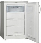 Snaige F 210-1101A