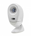 Tannoy Arena Satellite speaker (Single)