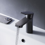 AM PM F9H02122 Flash - купити в інтернет-магазині Техностар