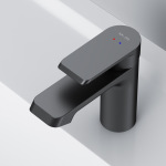 AM PM F9H02122 Flash - купити в інтернет-магазині Техностар