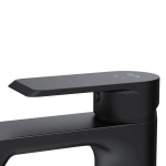 AM PM F9H02122 Flash - купити в інтернет-магазині Техностар