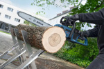 Bosch 0.600.8D3.000 - купити в інтернет-магазині Техностар