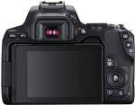 Canon EOS 250D kit (18-55mm) EF-S IS STM (3454C007) - купити в інтернет-магазині Техностар