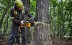 DeWalt DCMCS575N - купити в інтернет-магазині Техностар