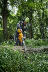 DeWalt DCMCS575N - купити в інтернет-магазині Техностар