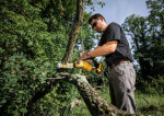 DeWalt DCMPS520N - купити в інтернет-магазині Техностар