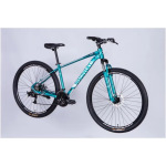 Discovery AL 29 BASTION DD CS рама-17