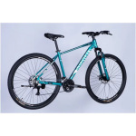 Discovery AL 29 BASTION DD CS рама-19