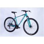 Discovery AL 29 BASTION DD CS рама-19