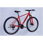 Discovery AL 29 BASTION DD CS рама-19