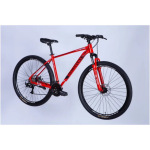 Discovery AL 29 BASTION DD CS рама-19