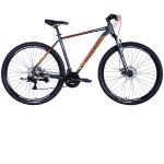 Discovery AL 29 BASTION DD CS рама-19