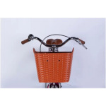 Dorozhnik ST 28 RETRO Velosteel рама-19