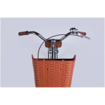 Dorozhnik ST 28 RETRO Velosteel рама-19
