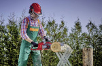 Einhell 4600010 - купити в інтернет-магазині Техностар
