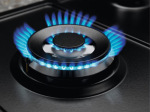Electrolux KGS9536RN - купити в інтернет-магазині Техностар