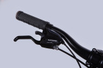 Formula AL 24 BLACKWOOD 1.0 DD FR рама-12,5