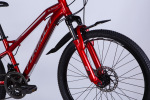 Formula AL 24 BLACKWOOD 1.0 DD FR рама-12,5
