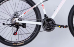 Formula AL 27.5 ALPINA DD FR рама-16