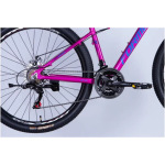 Formula AL 27.5 ALPINA DD FR рама-16