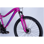 Formula AL 27.5 ALPINA DD FR рама-16