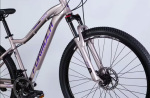 Formula AL 27.5 ALPINA DD FR рама-16