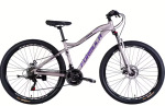 Formula AL 27.5 ALPINA DD FR рама-16