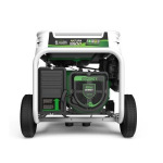 GENERGY NATURA 5000 - купити в інтернет-магазині Техностар