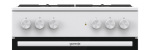 Gorenje GK6A40WFFM - купити в інтернет-магазині Техностар