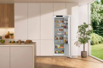 Gorenje RI517E41WF (HI31282) - купити в інтернет-магазині Техностар