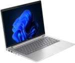 HP ProBook 440 G11 Pike Silver (AD0X1ET) - купити в інтернет-магазині Техностар