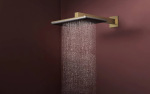 Hansgrohe 24550140 RAINDANCE ALIVE Q - купити в інтернет-магазині Техностар