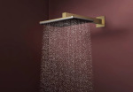 Hansgrohe 24550140 RAINDANCE ALIVE Q - купити в інтернет-магазині Техностар