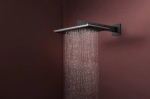 Hansgrohe 24550340 RAINDANCE ALIVE Q   - купити в інтернет-магазині Техностар