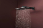 Hansgrohe 24550340 RAINDANCE ALIVE Q   - купити в інтернет-магазині Техностар
