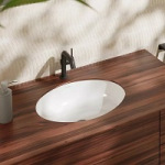 Hansgrohe 60152450 Xuniva D - купити в інтернет-магазині Техностар