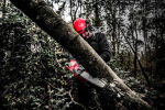 Milwaukee  M18 FCHS-0 (4933464723) - купити в інтернет-магазині Техностар
