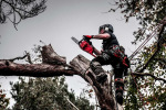Milwaukee  M18 FCHS-0 (4933464723) - купити в інтернет-магазині Техностар