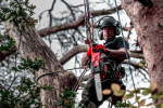 Milwaukee  M18 FCHS-0 (4933464723) - купити в інтернет-магазині Техностар
