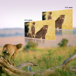 Panasonic HC-X20EE - купити в інтернет-магазині Техностар