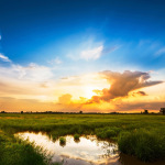 Panasonic HC-X2EE - купити в інтернет-магазині Техностар