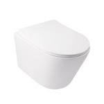 Q-tap Swan Soft-close QT16335178W - купити в інтернет-магазині Техностар