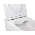 Q-tap Swan Soft-close QT16335178W - купити в інтернет-магазині Техностар