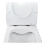 Q-tap Swan Soft-close QT16335178W - купити в інтернет-магазині Техностар