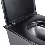 Q-tap Virgo Soft-close QT1833051ERMB - купити в інтернет-магазині Техностар