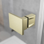 Radaway Essenza Pro Brushed Gold KDJ двері 1100Lx2000 прозоре 10097110-99-01L - купити в інтернет-магазині Техностар