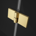 Radaway Essenza Pro Gold KDJ двері 1100Rx2000 прозоре 10097110-09-01R - купити в інтернет-магазині Техностар