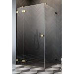 Radaway Essenza Pro Gold KDJ двері 1100Rx2000 прозоре 10097110-09-01R - купити в інтернет-магазині Техностар