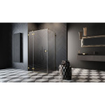 Radaway Essenza Pro Gold KDJ двері 1100Rx2000 прозоре 10097110-09-01R - купити в інтернет-магазині Техностар