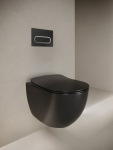 Ravak WC Панель управління Chrome Чорний X01797 - купити в інтернет-магазині Техностар